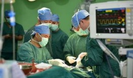 脑科医生爆料视频大全,视频大全中的惊人真相与医学洞察